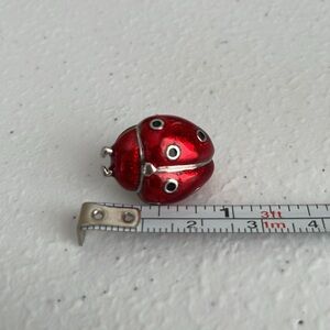 Mini Ladybug Themed Pin